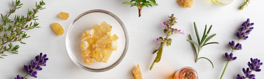 Discover the Distinctive Charm of Diffuser Books