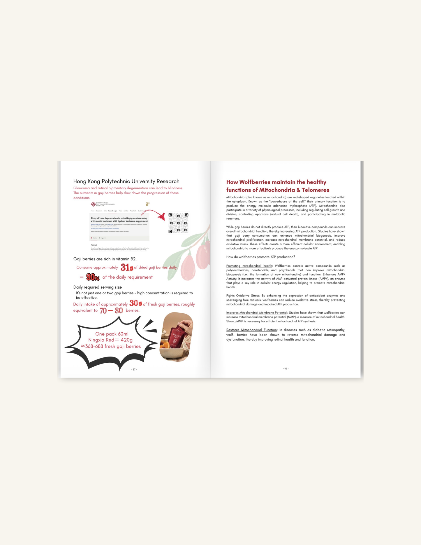 Ningxia Red: Our Superhero Best Friend 2nd Edition