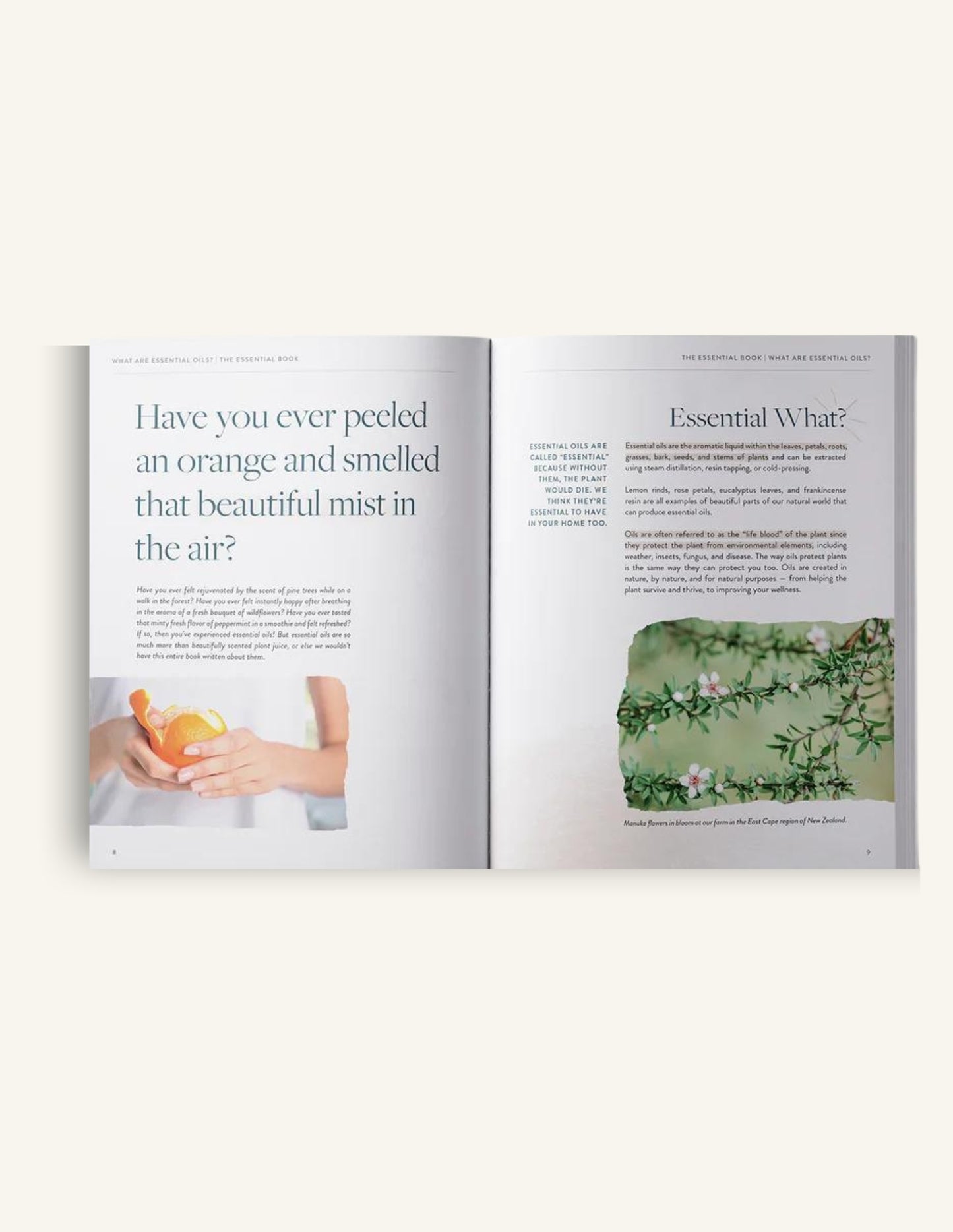 The Essential Book, by Hello Essentials