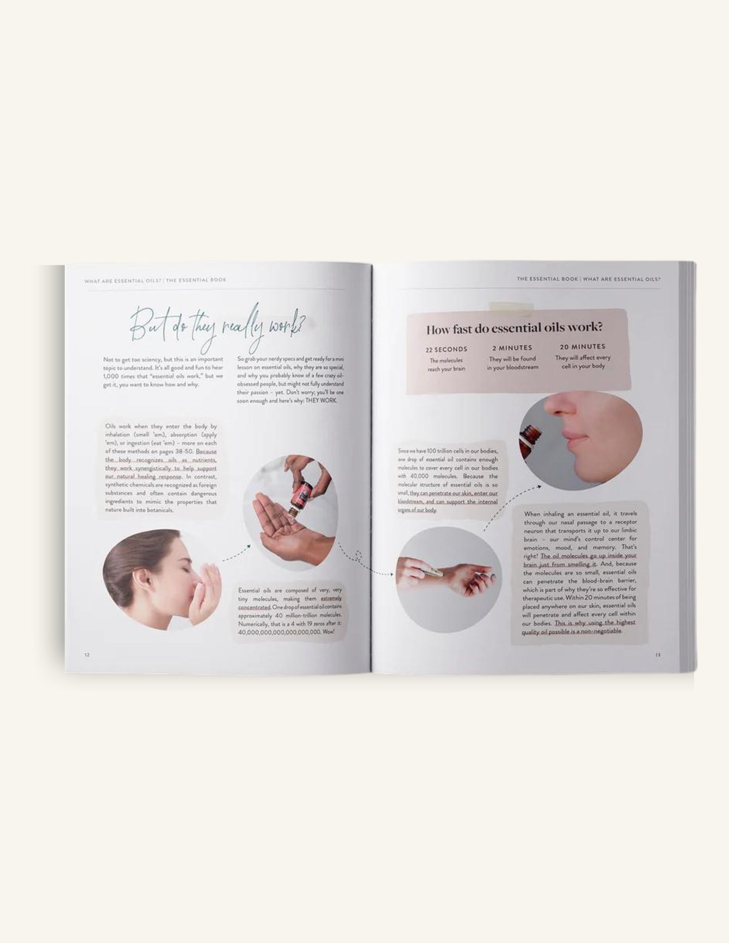 The Essential Book, by Hello Essentials