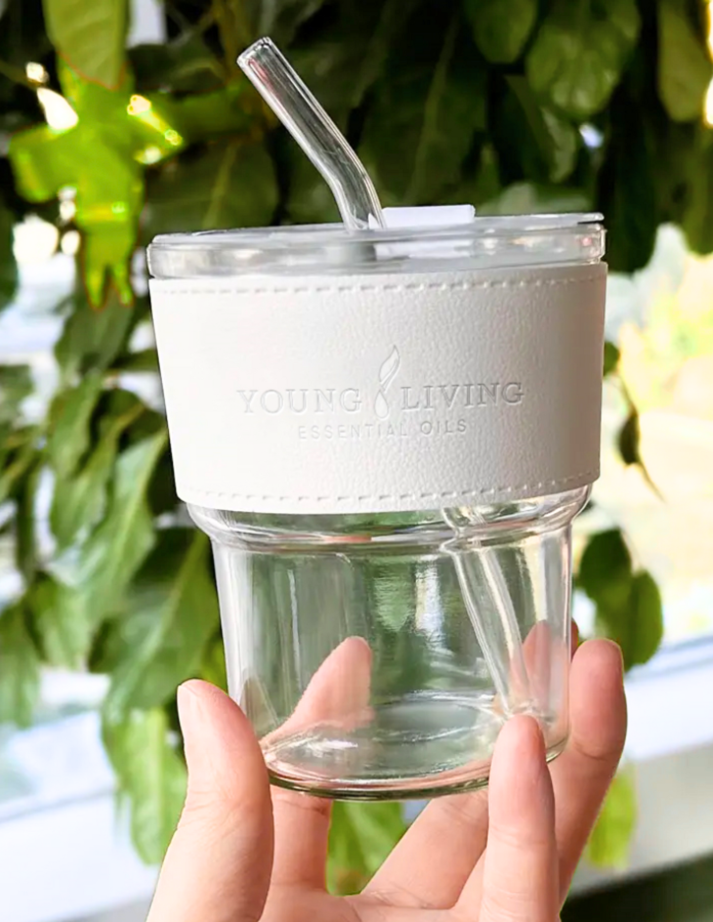 Young Living Glass Cup + Straw