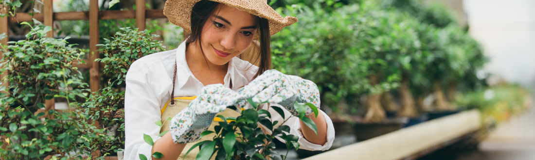 Unlocking Your Garden's Potential: The Benefits of Essential Oils in Gardening
