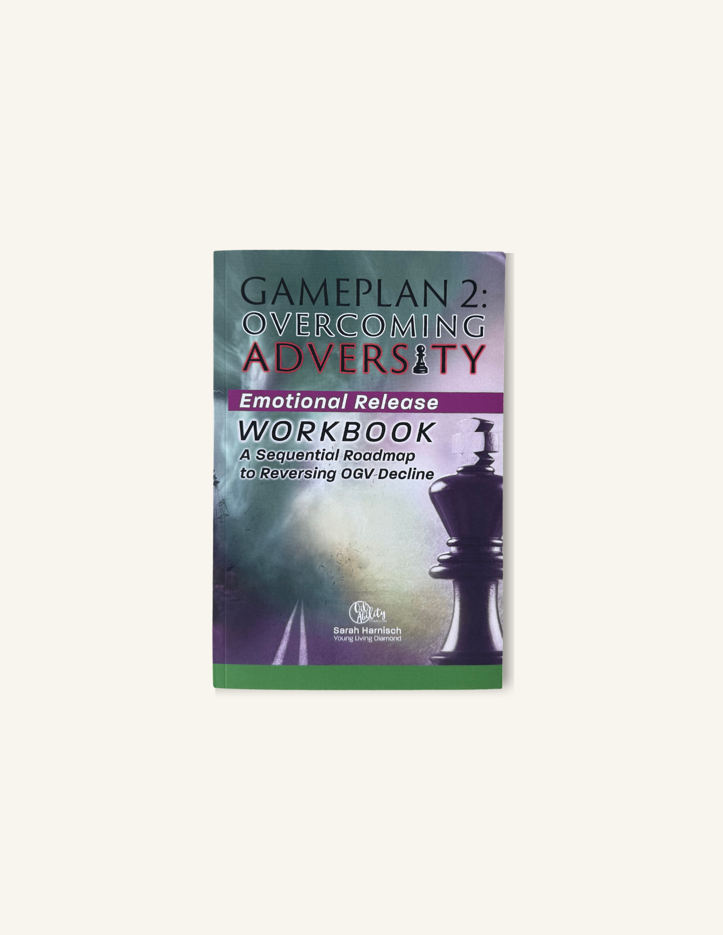 Overcoming Adversity Workbook