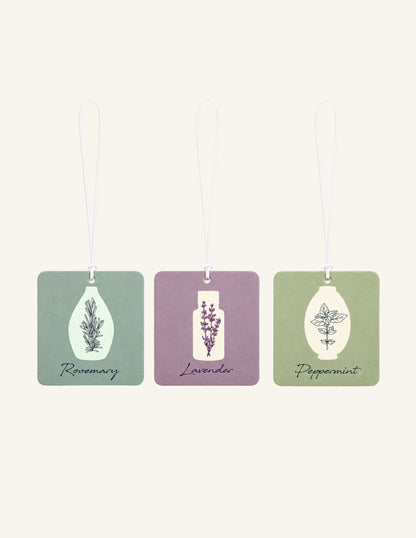 Everyday Air Freshener