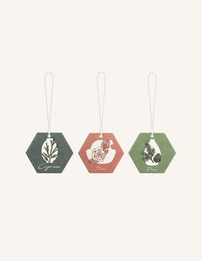 Everyday Air Freshener