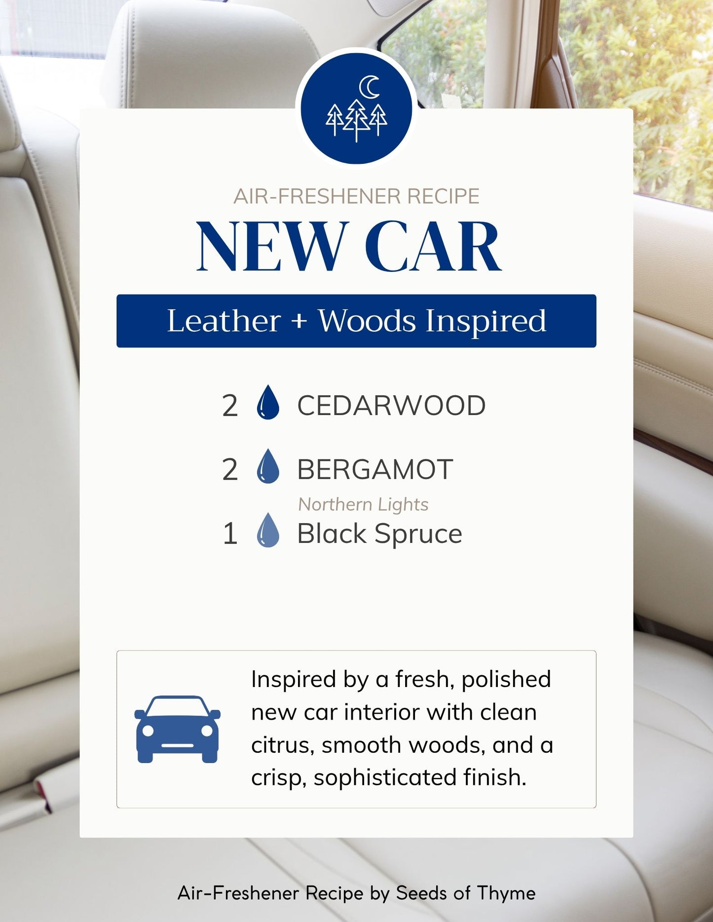 Everyday Air Freshener