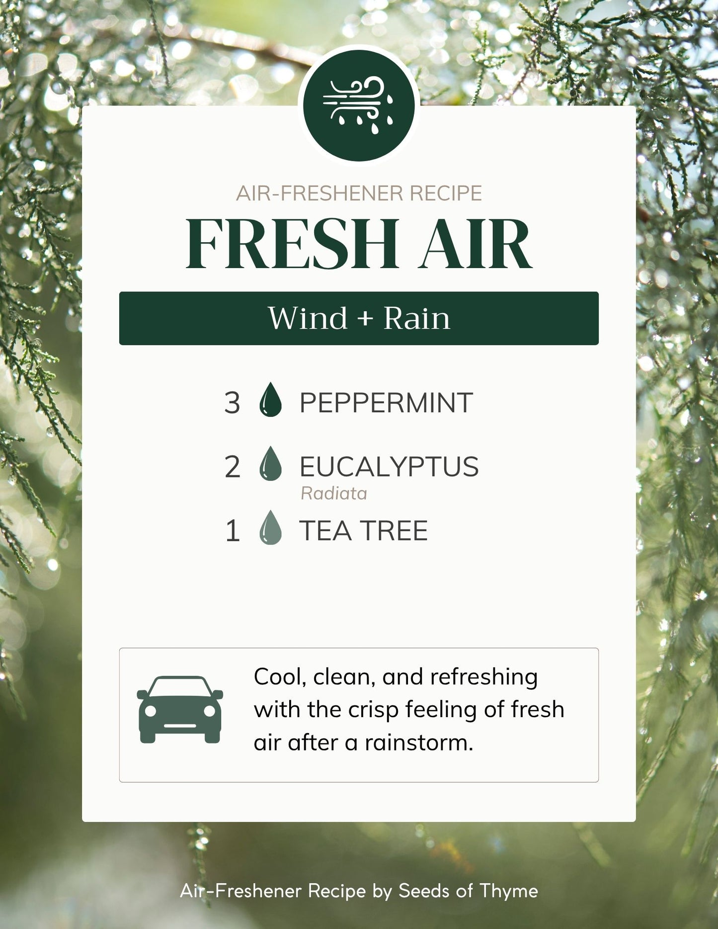 Everyday Air Freshener